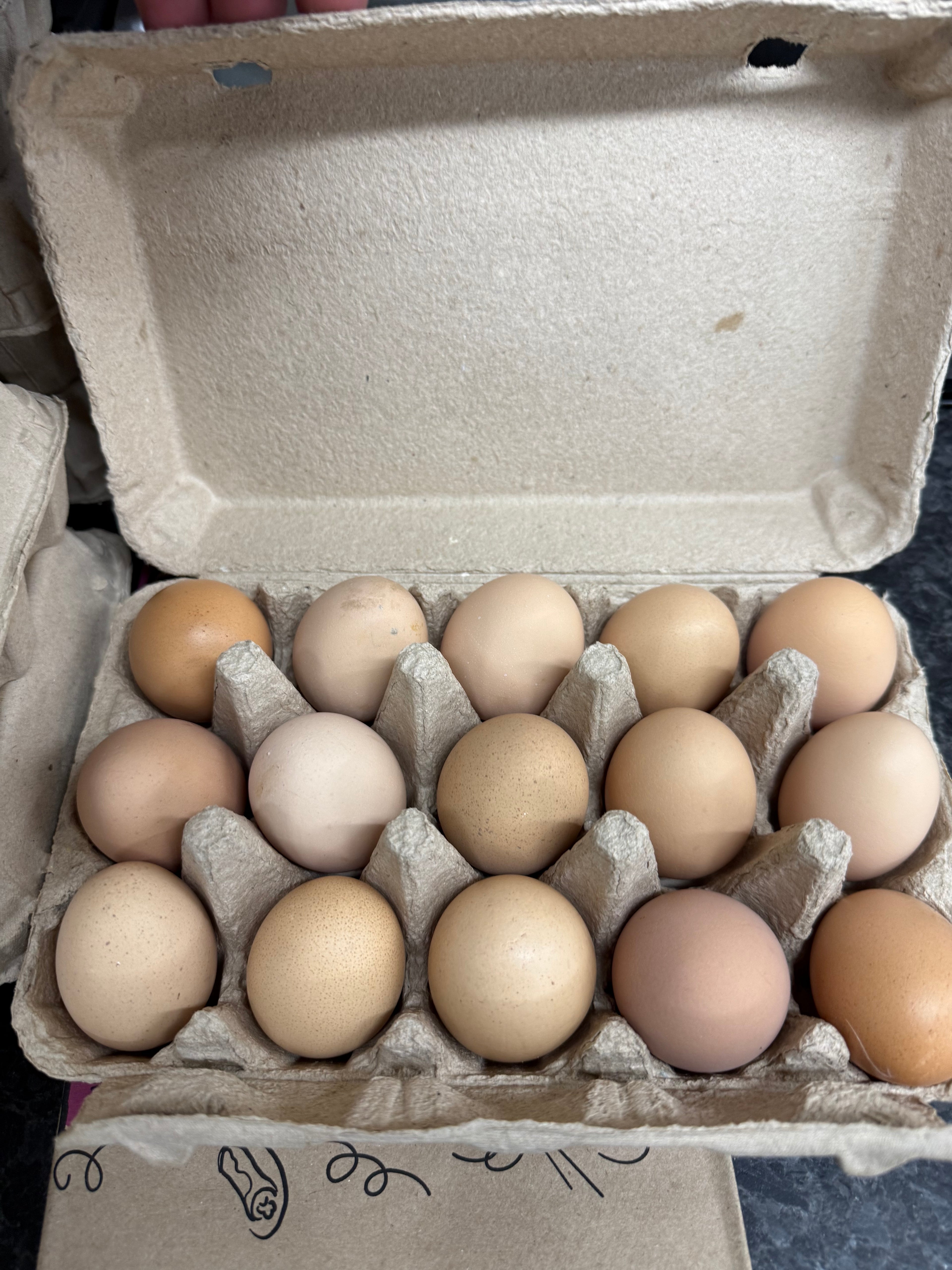 BCFR Fifteen Count Chicken Eggs